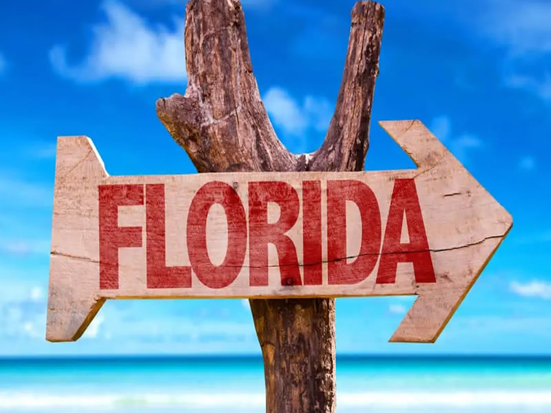 Top 5 best vacation destinations in florida